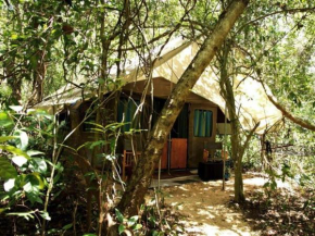 Explorer by Eco Team - Dambana